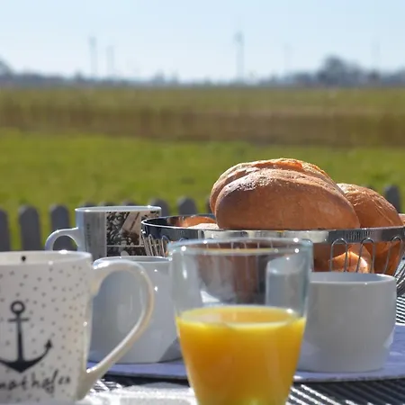 Casa de Férias Amo *